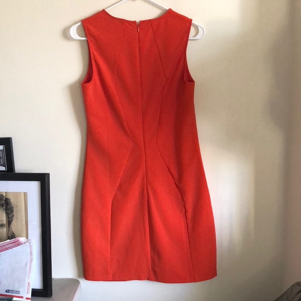 Poppylark- orange sheath dress - Picture 3 of 3